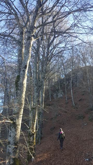 20151227_122619